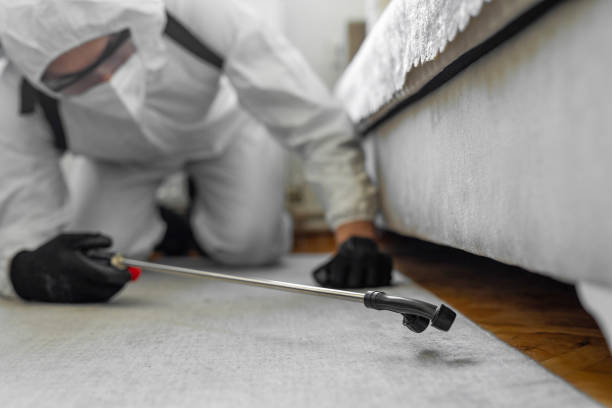 Professional Cockroach Control technician working in Mayfield Heights, OH