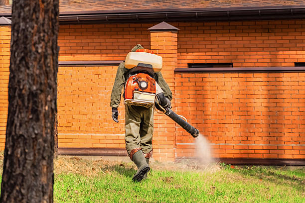 Trusted Emergency Pest Control service in Mayfield Heights, OH - Nex Pest Control